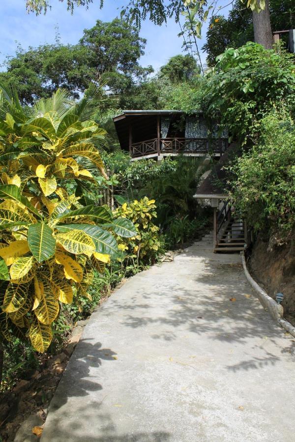 Alibaba'S Seabreeze Apartamento Castara Exterior foto